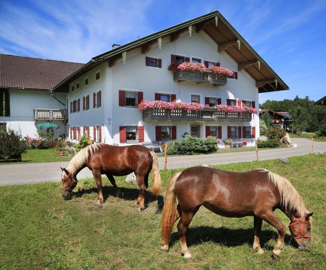 Willa Heutauer Hof Siegsdorf Zewnętrze zdjęcie